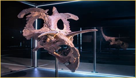 Unveiling Paul Sidoti's Net Worth: Discoveries And Insights